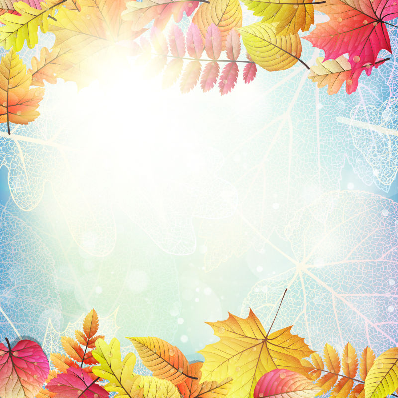 创意矢量美丽的秋叶和阳光的背景