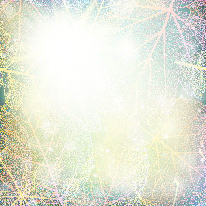 创意矢量阳光的秋叶纹理背景