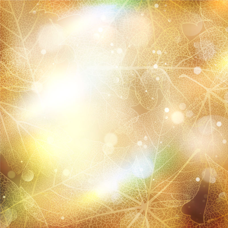 矢量美丽的秋季阳光照射下的叶片纹理背景