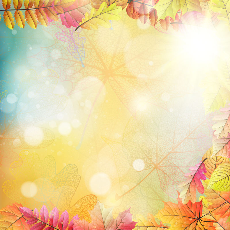 创意矢量秋季阳光下的树叶背景