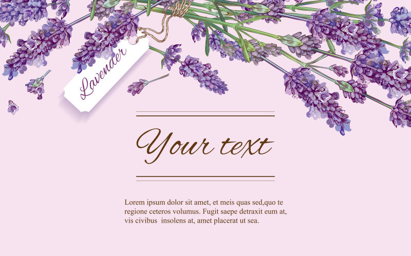 创意矢量紫色薰衣草元素的横幅设计
