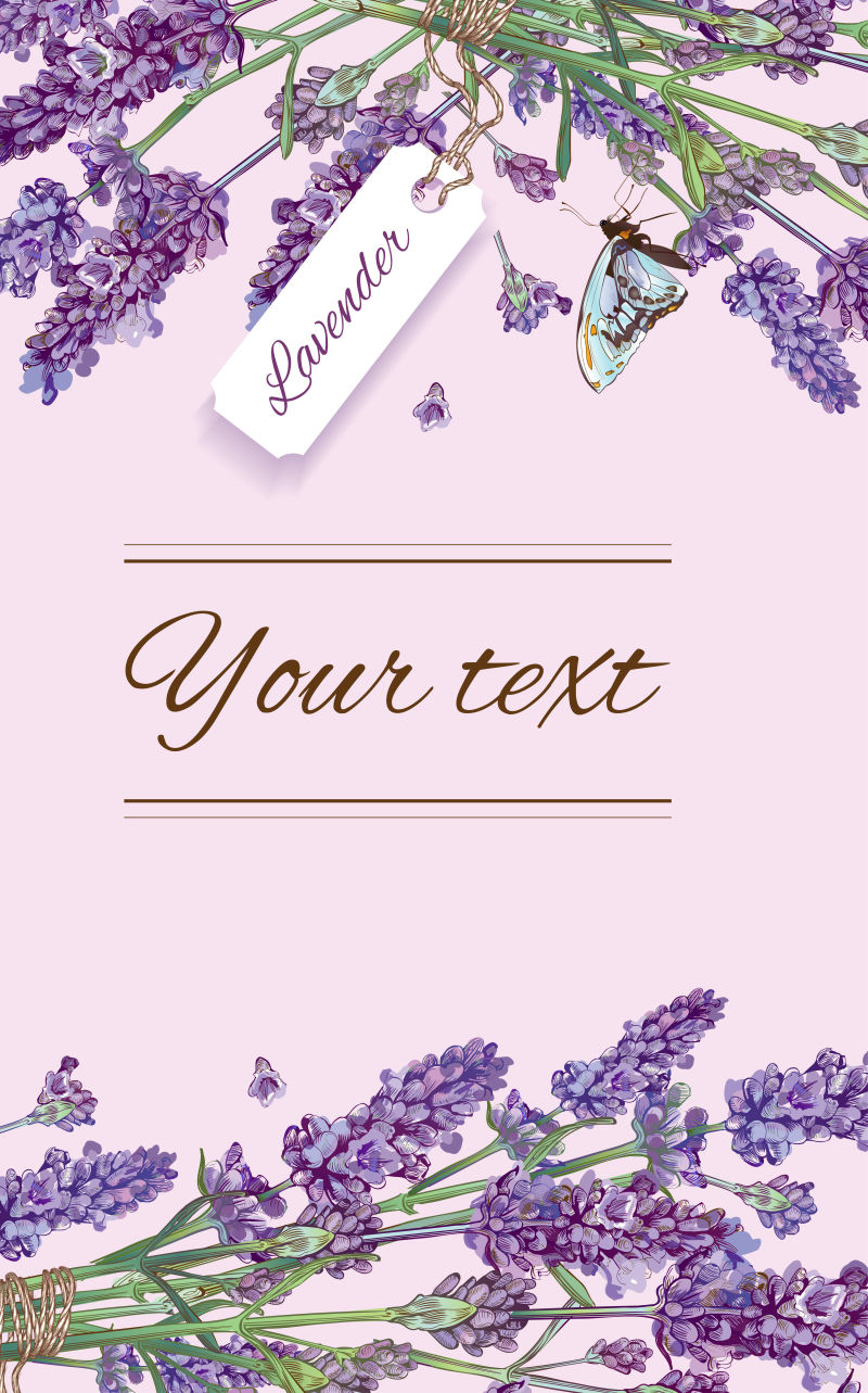 创意矢量薰衣草元素的横幅设计