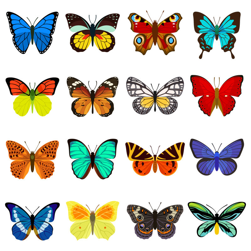 创意矢量卡通美丽的蝴蝶