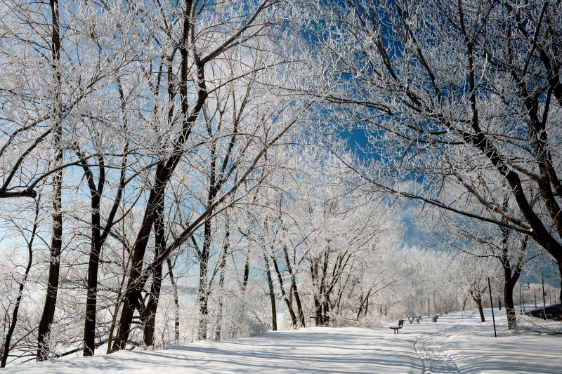 公路上的雪景