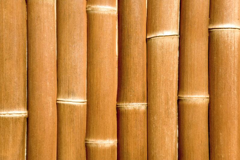 排列在一起的黄色竹子