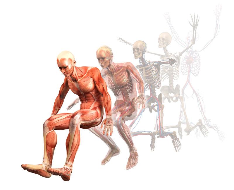 跳远的男性人体肌肉