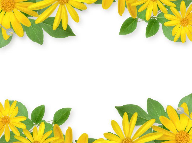 太阳花上下对应框架