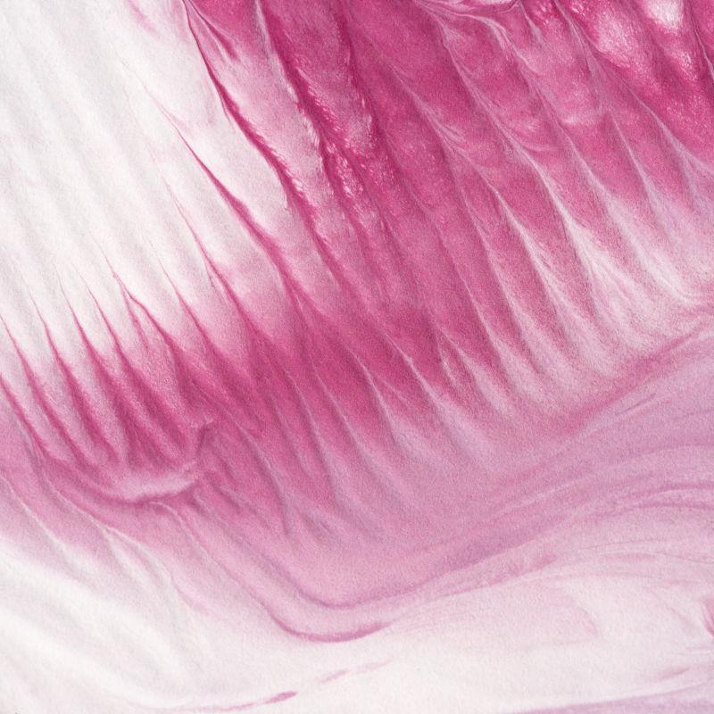 白色和紫红色的抽象纹理背景