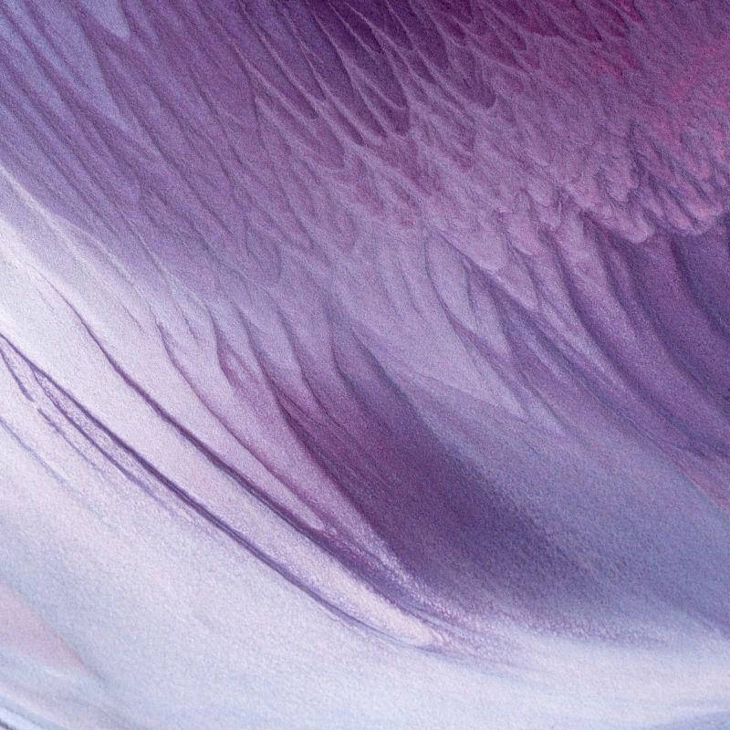 紫色和浅紫色抽象纹理背景