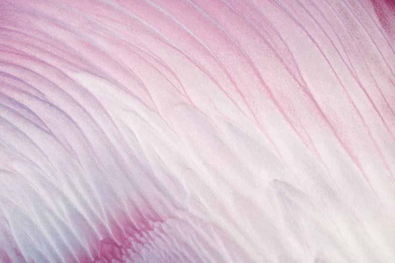 紫色到白色渐变抽象纹理背景