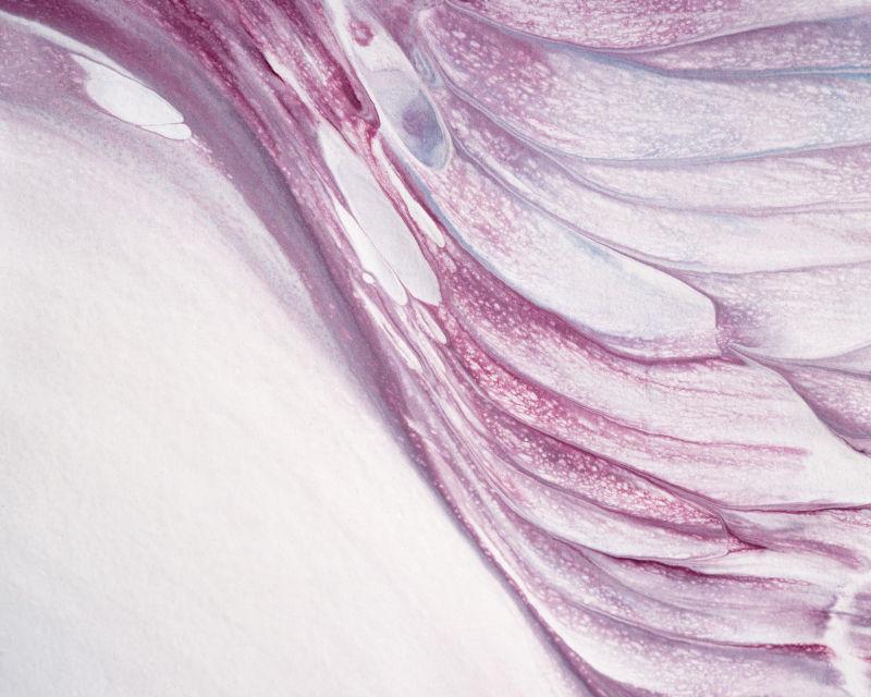 白色紫色抽象纹理背景