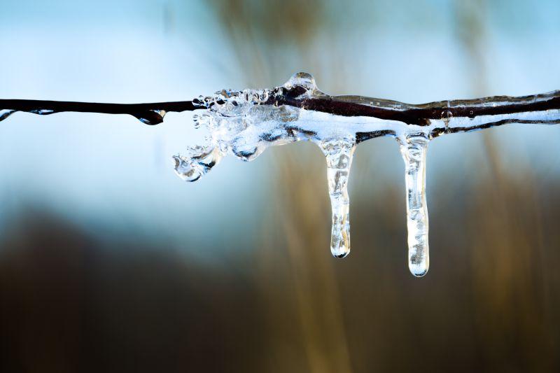 树枝上的悬挂冰柱