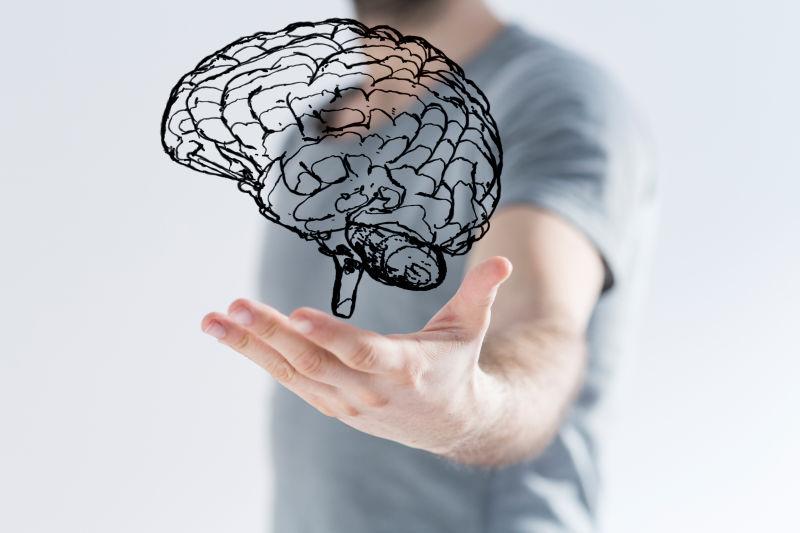 男子手掌上的概念大脑