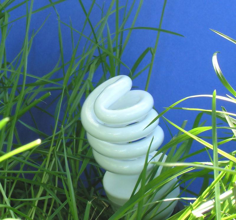 草丛里的节能灯