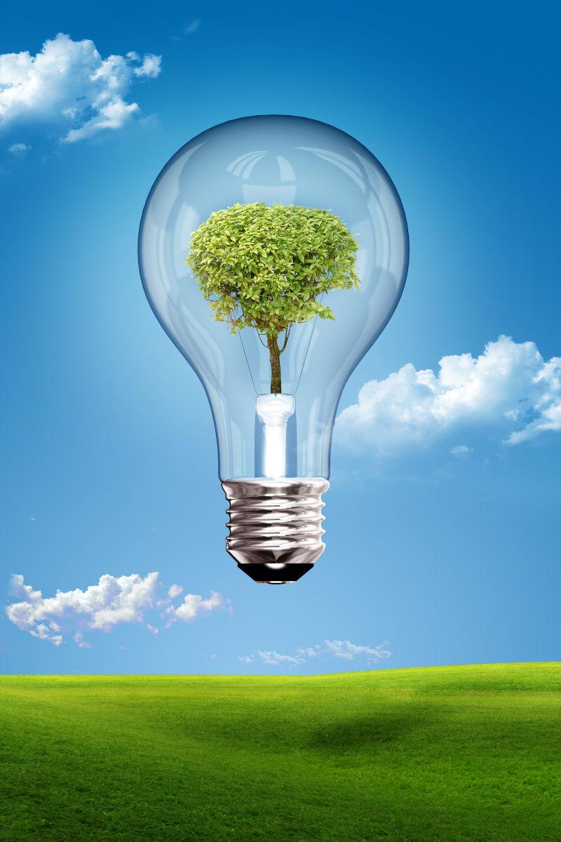 背景是蓝天草原上一个灯泡里有颗大树