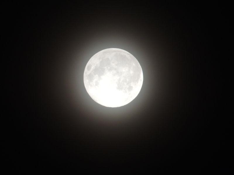 夜晚的圆月