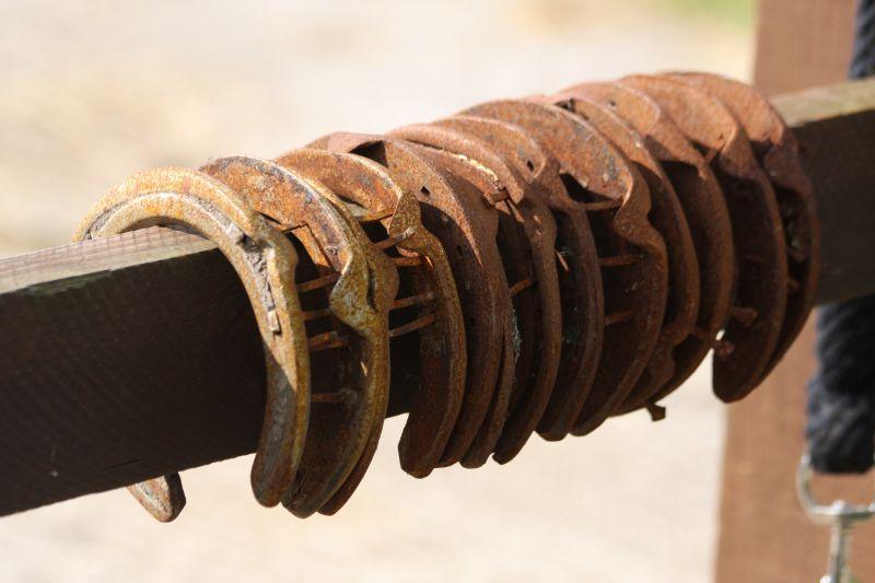 挂在木头上的铁蹄