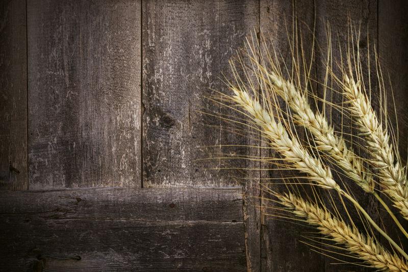 旧木板上的金色麦穗