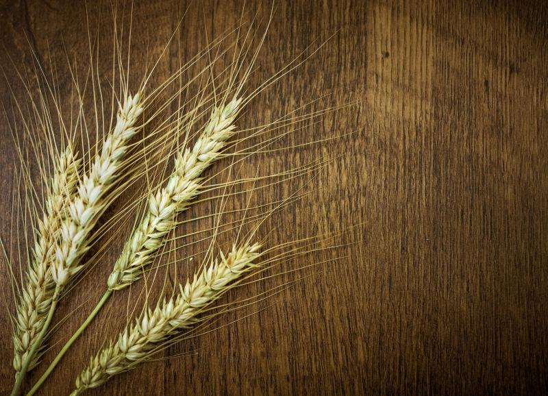 木板上的金色麦穗