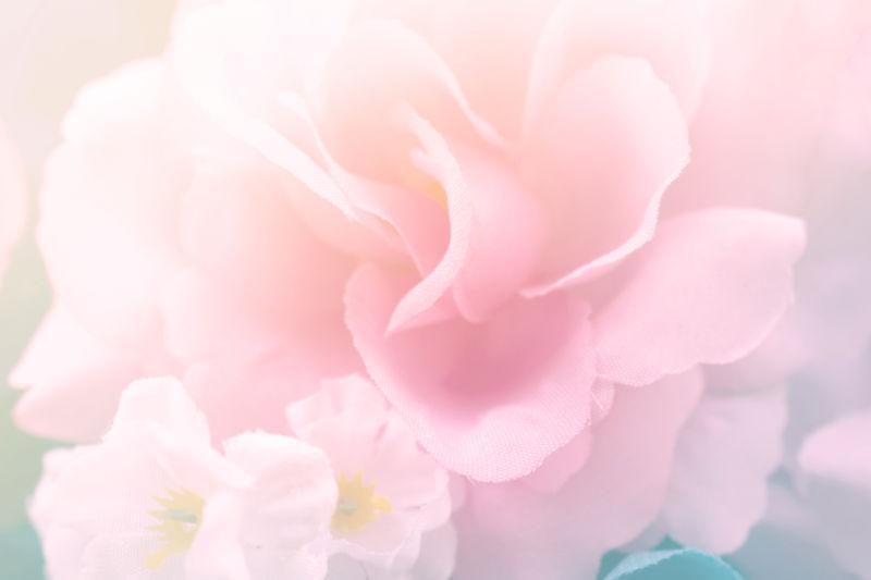 柔和风格的甜色织物玫瑰