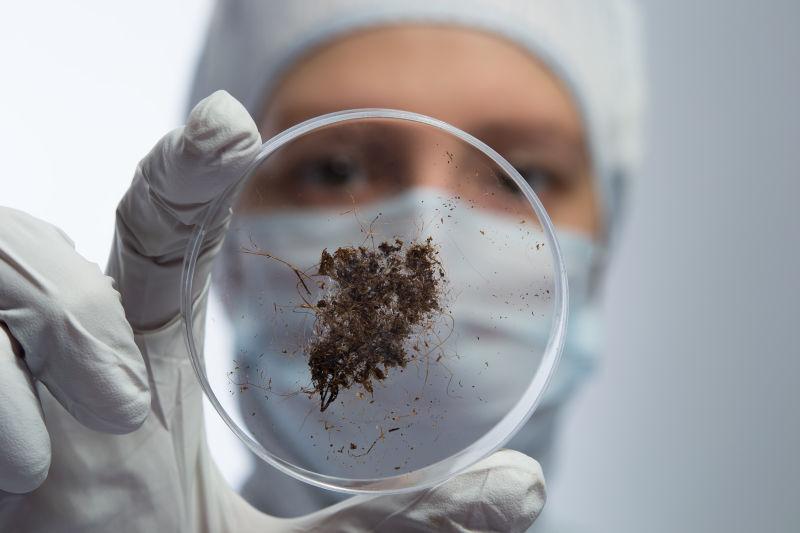 科学家的土壤研究