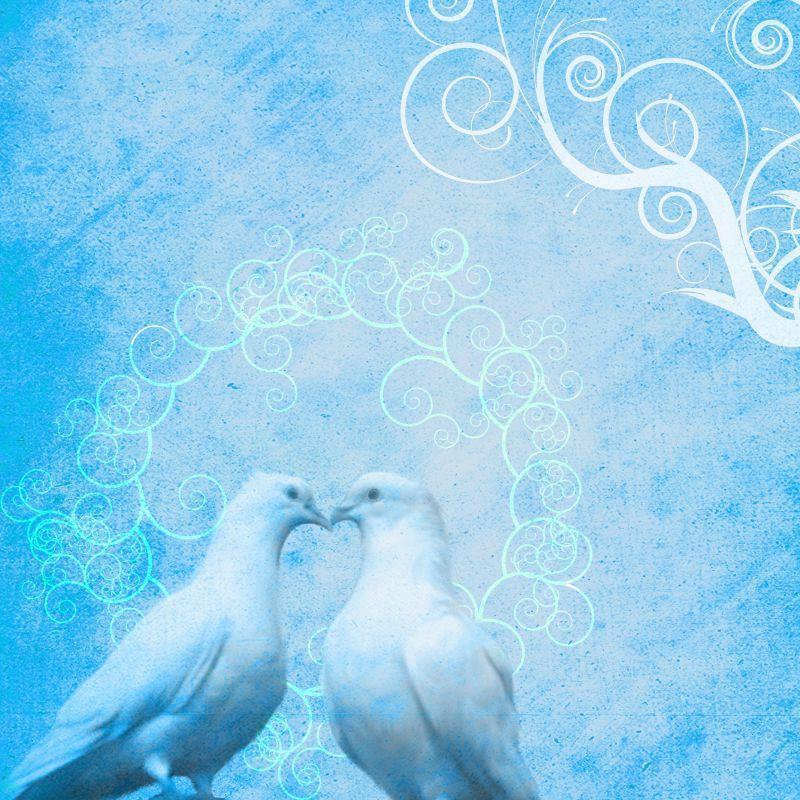 旧背景鸽子纹理背景