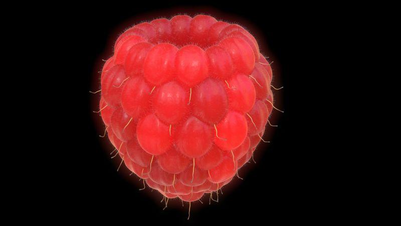 黑色背景下的一个成熟的覆盆子