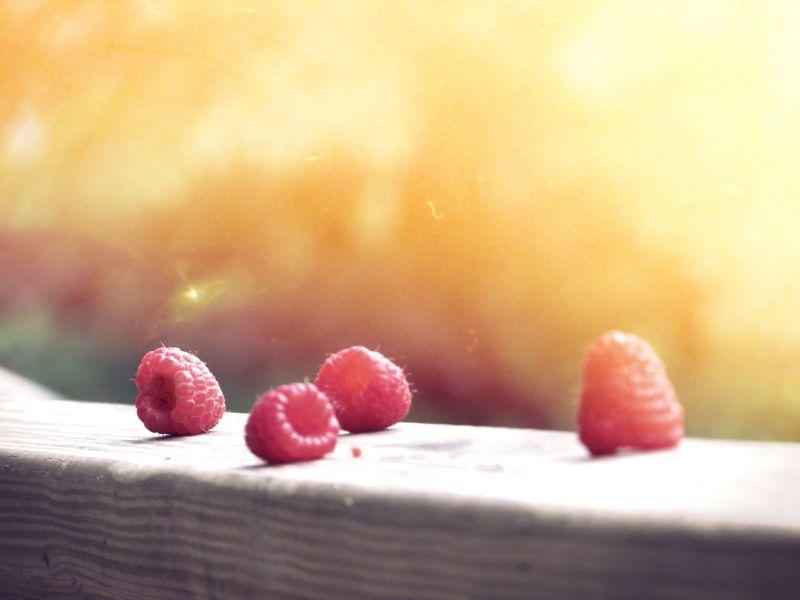 阳光下的新鲜覆盆子