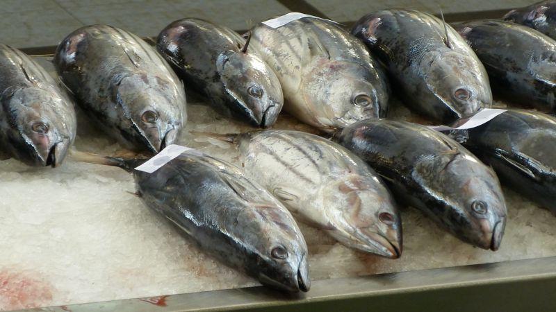 市场上冷冻的海鲜金枪鱼