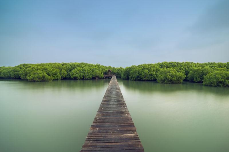 蓝天下碧绿色水上通往绿色植物小岛的木制桥梁