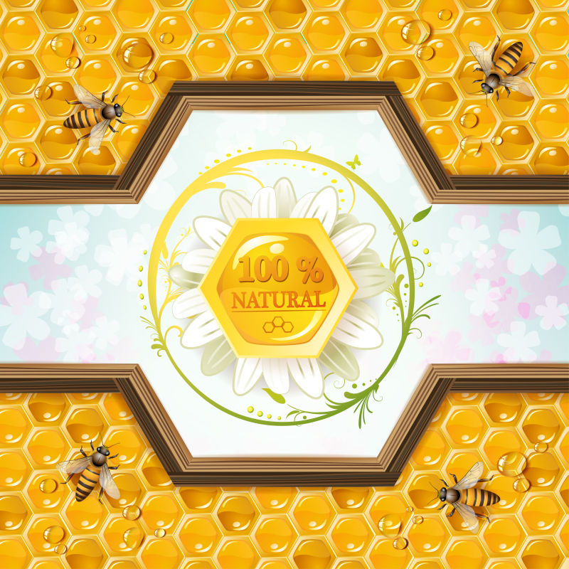 创意矢量天然蜂蜜的海报设计
