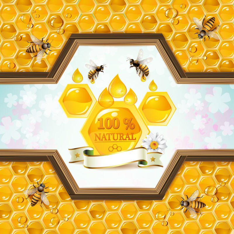 矢量天然蜂蜜和蜂窝
