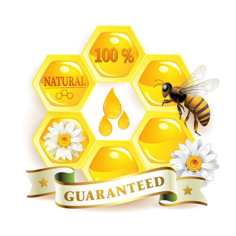 创意矢量质量保证的蜂蜜插图设计