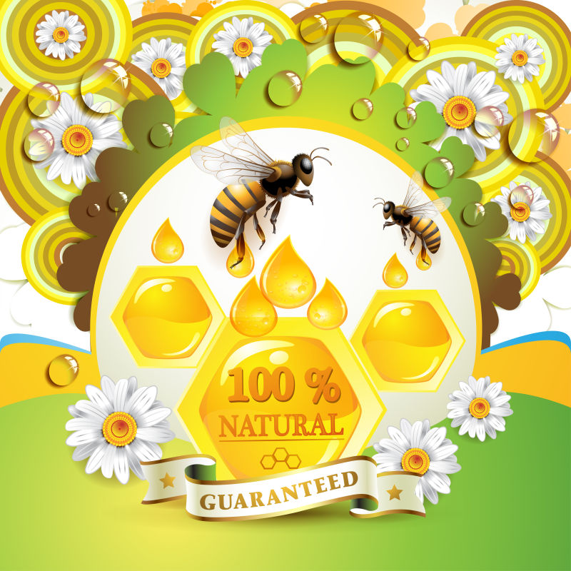 创意矢量天然蜜蜂和蜂蜜