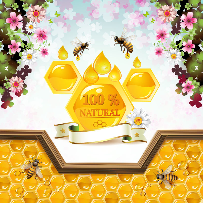 创意矢量蜂蜜概念的海报设计