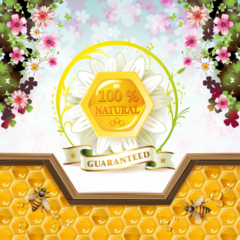 天然蜂蜜的矢量宣传海报设计