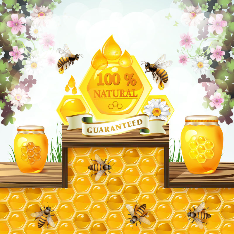 矢量天然蜂蜜的创意海报设计