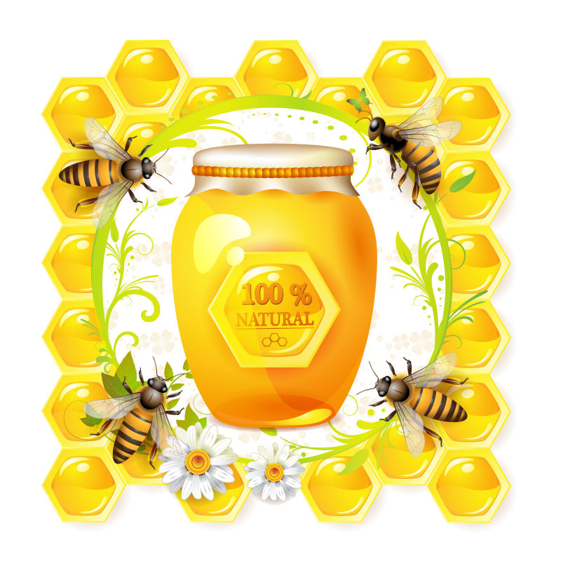 创意天然蜂蜜的矢量插图海报