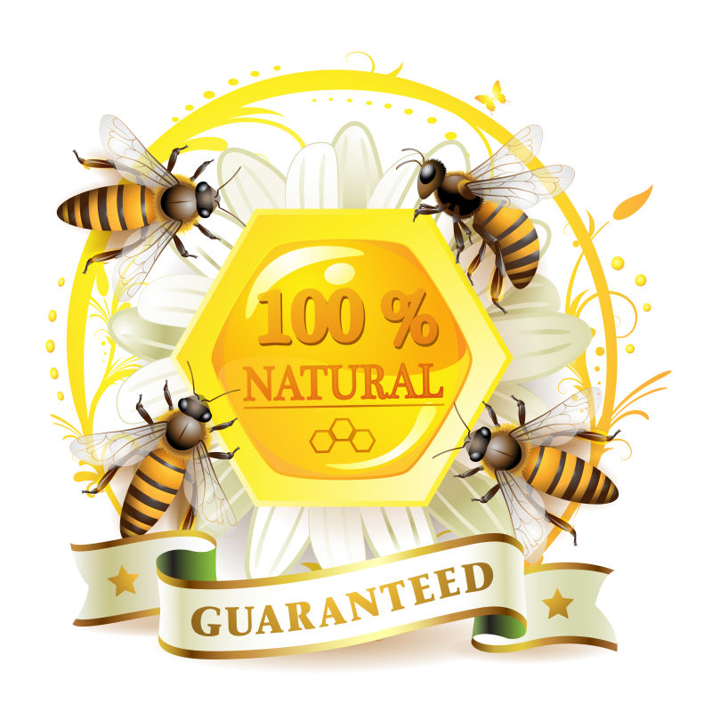 创意矢量天然蜂蜜的宣传设计