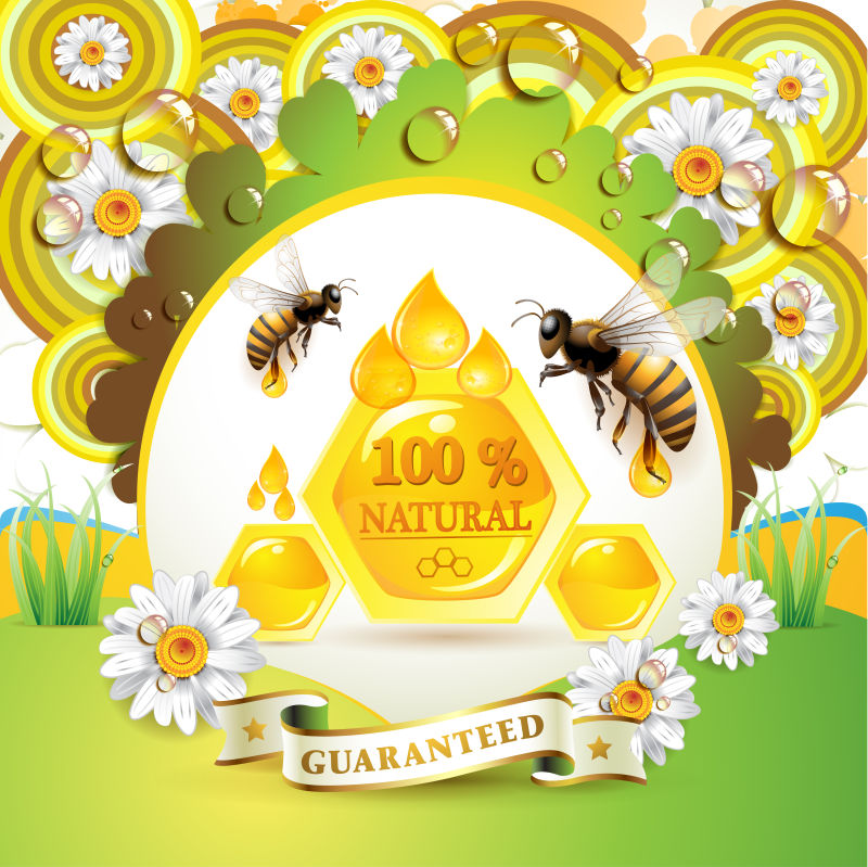 创意矢量天然蜂蜜元素的海报设计