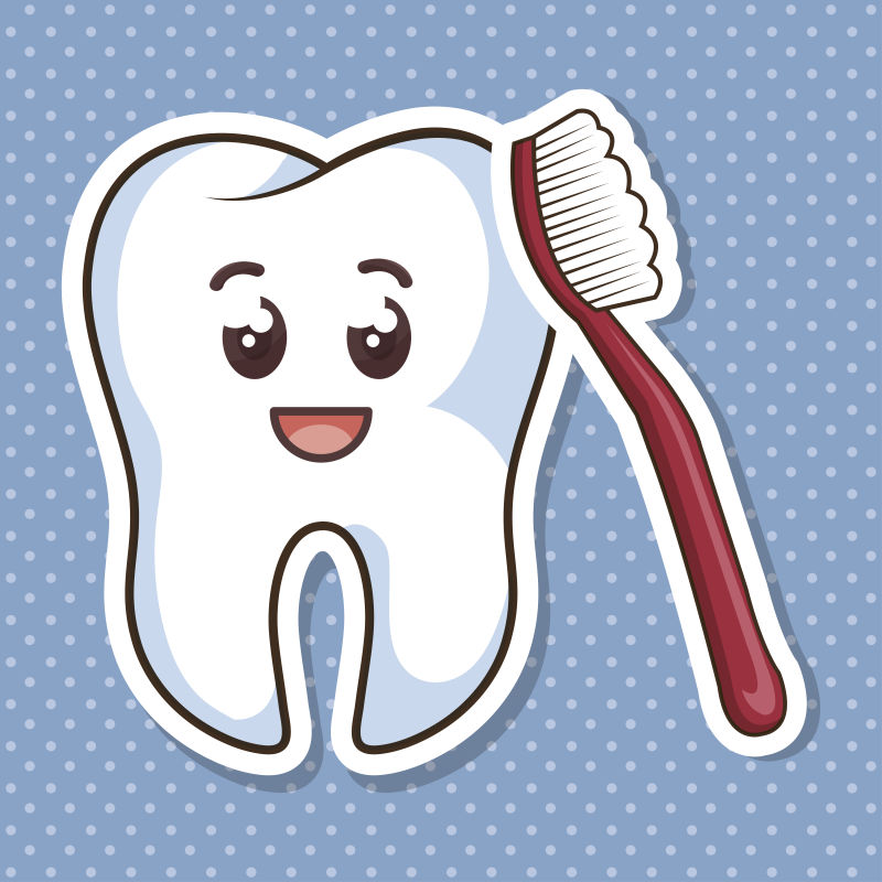 矢量卡通牙齿与牙刷