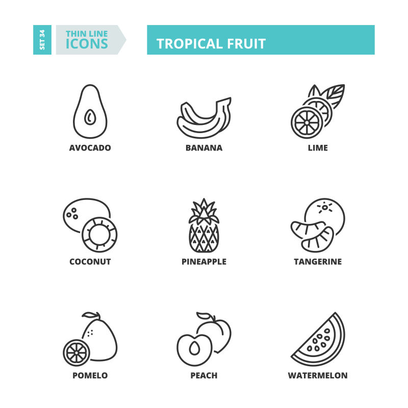 矢量细线风格的热带水果图标设计