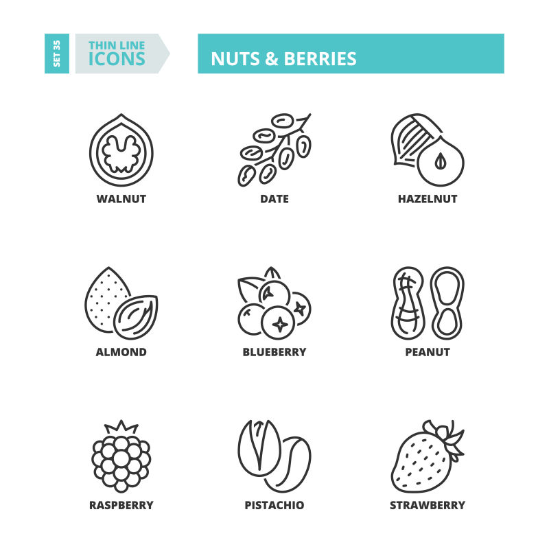 矢量细线风格的坚果和浆果图标