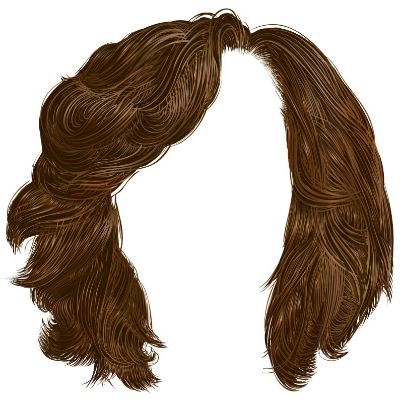 棕色的卷曲头发矢量设计