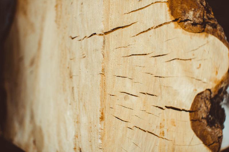 木桩表面的木质纹理