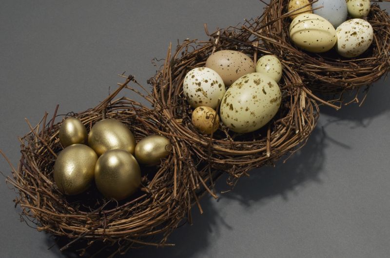 灰色背景上的各种蛋