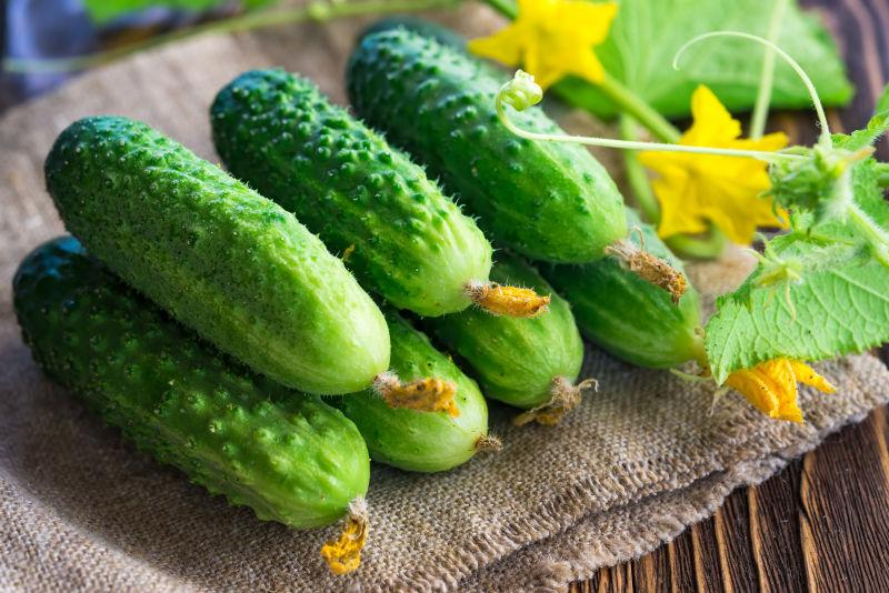 亚麻布上的新鲜带刺的黄瓜和黄瓜藤蔓