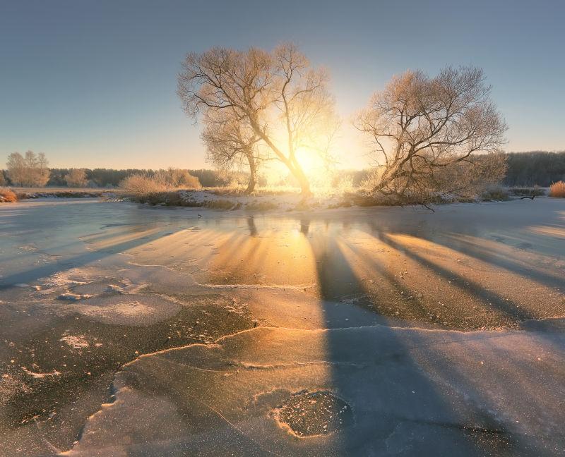 冬日阳光照射的图片图片