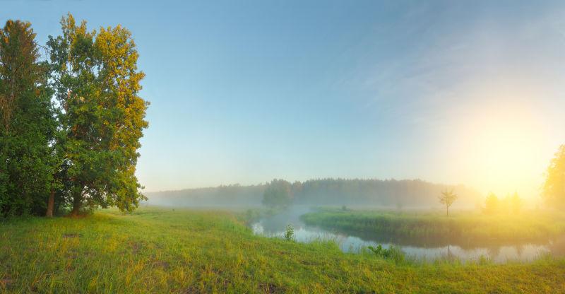晨光中的草原美景