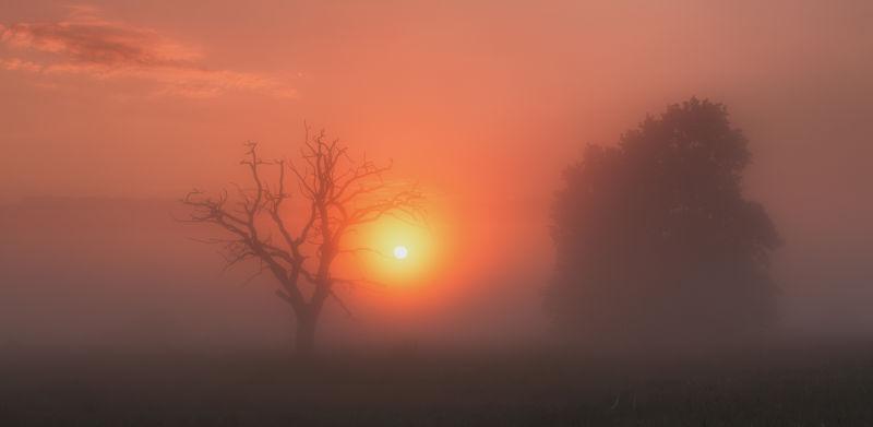初升的太阳照着迷雾